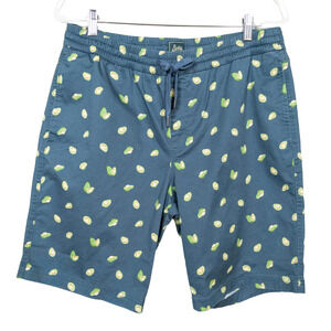 BIXBY Nomad Stitch Fix Avocado Print Pull-On Shorts Pockets Men's W36 L10